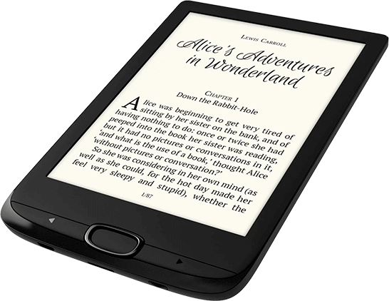 ebook main